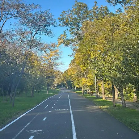 біля узбережжя одеси - ланжерон, парк шевченко, лунапарк Grotess Odesa